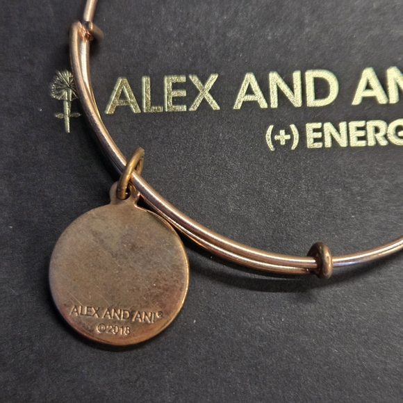 Alex and Ani Rose Gold 'I Love You' Charm Bracelet - Picture 4 of 4